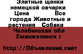 Элитные щенки немецкой овчарки › Цена ­ 30 000 - Все города Животные и растения » Собаки   . Челябинская обл.,Еманжелинск г.